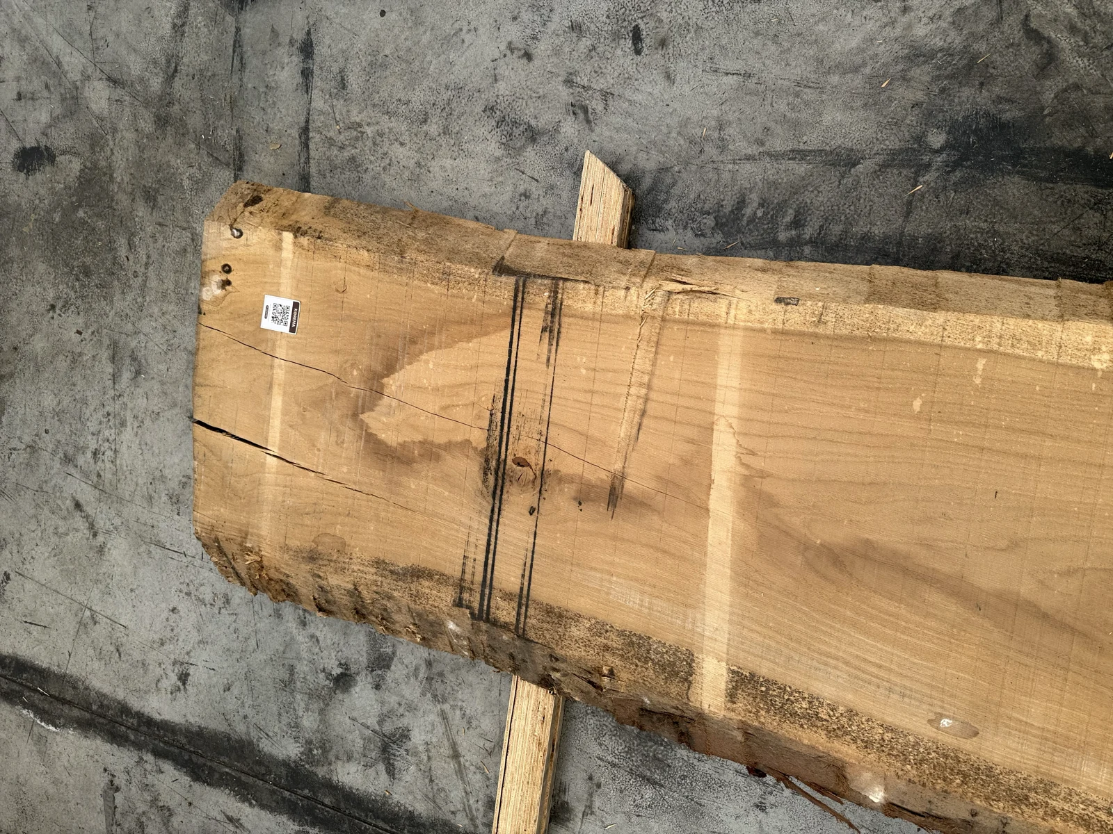 Full face of a kiln-dried European oak slab with straight grain and live edges