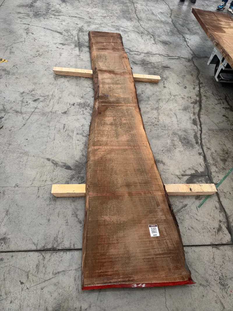 European Walnut 3