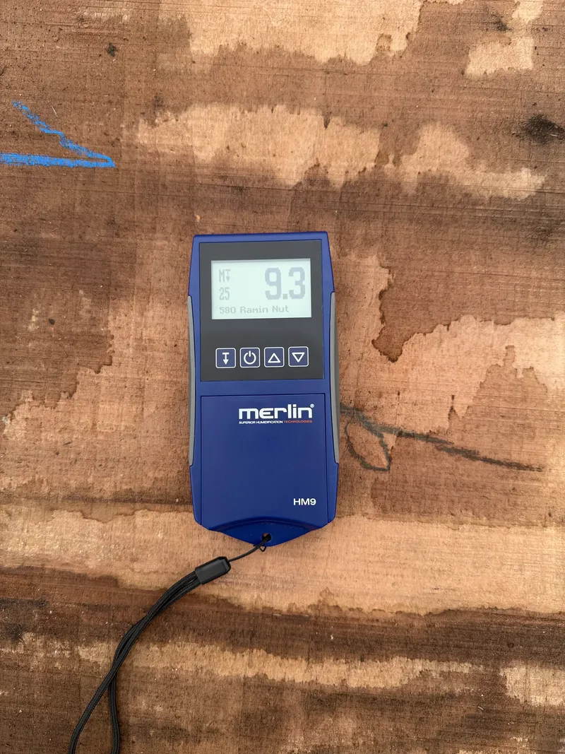 European Walnut — Moisture reading