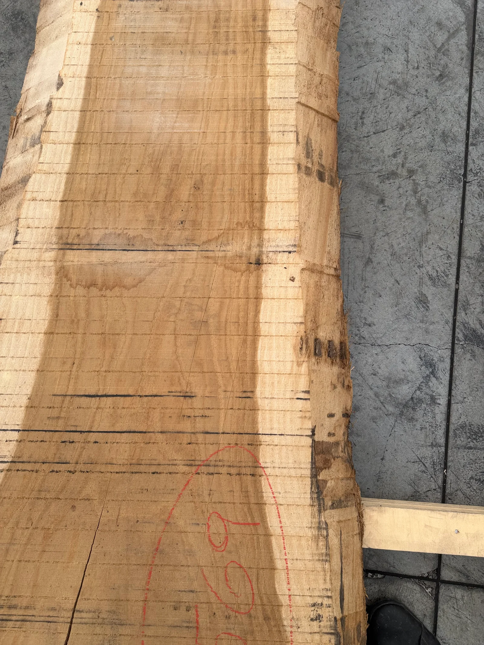 End-grain view of the European oak slab showing the sawn thickness, edge profile, and natural irregularity at the end.