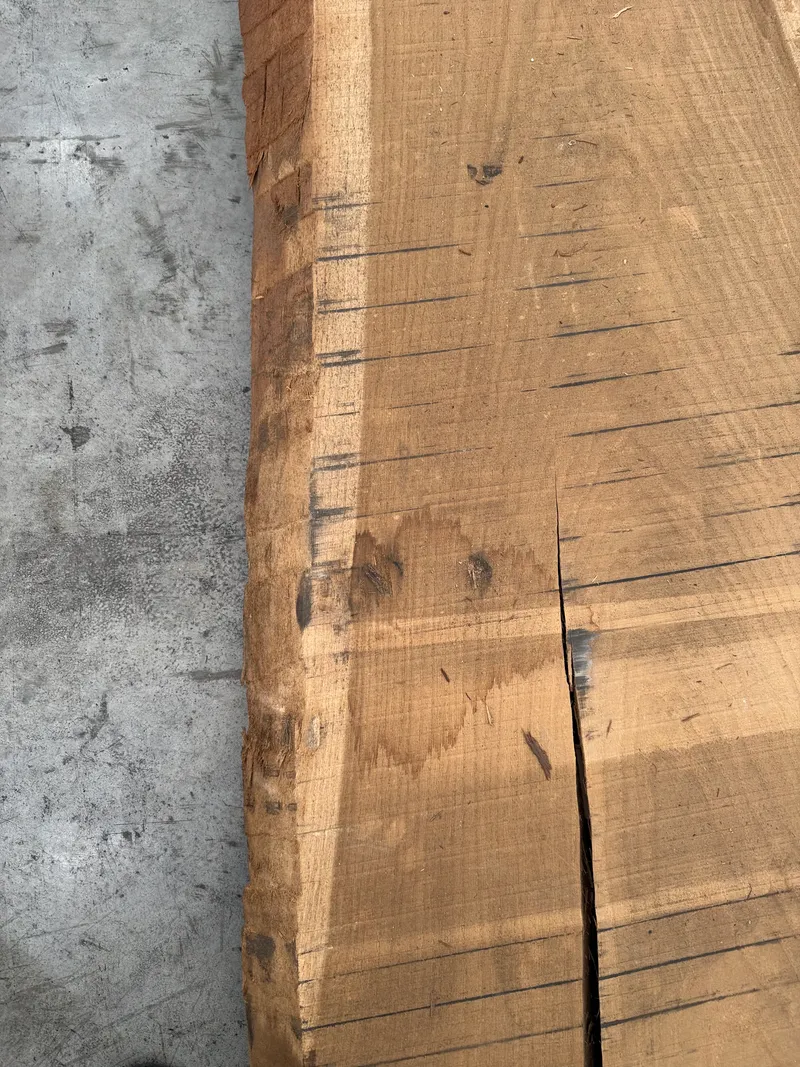 European Oak — End grain