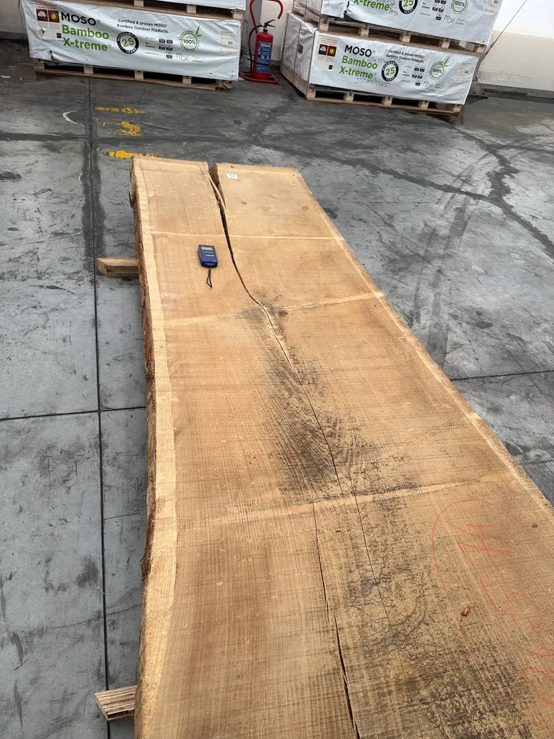 European Oak 6