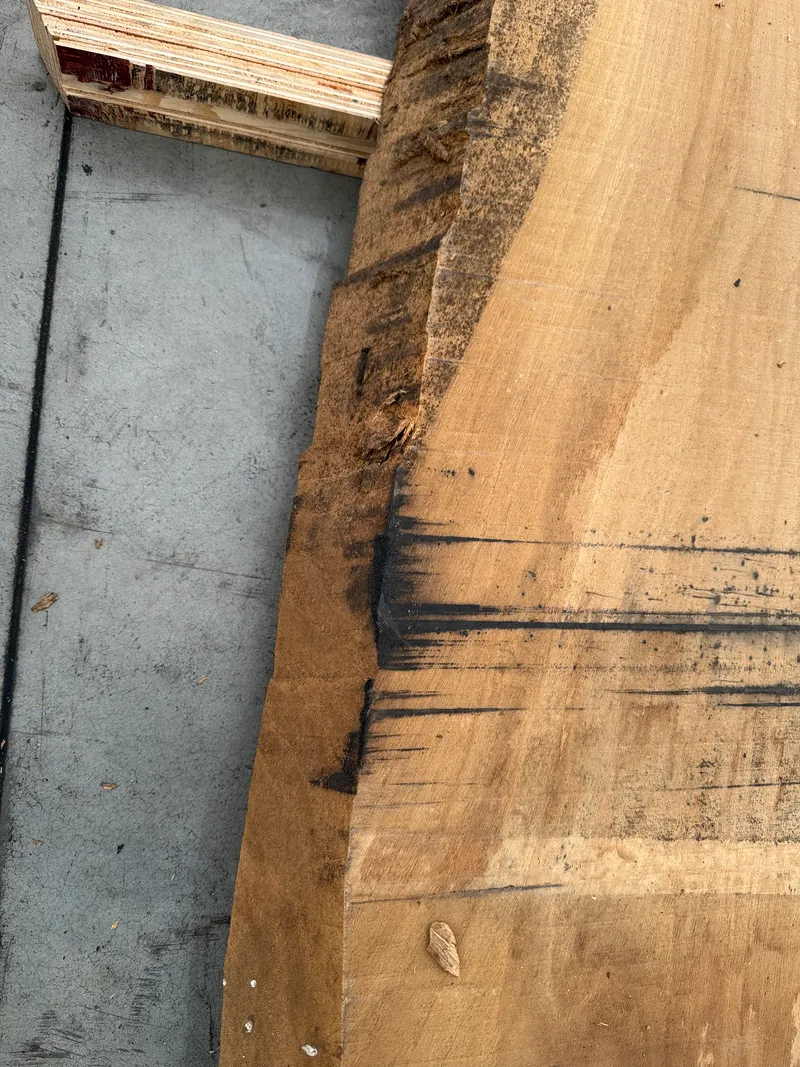 European Oak — Edge