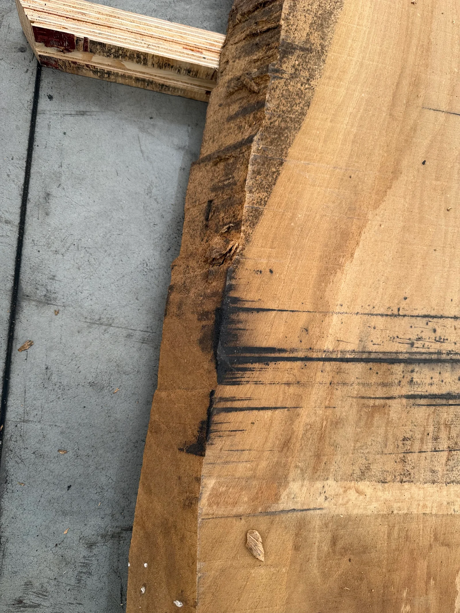 Close edge view showing the rough live edge, darker bark line, and warm oak face of the slab.