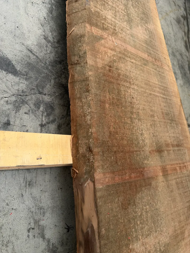 European Walnut — Edge