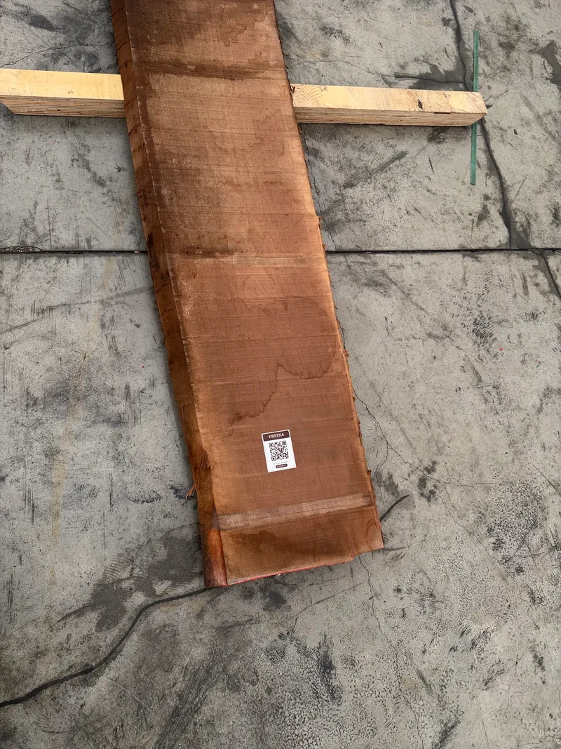 European Walnut 5