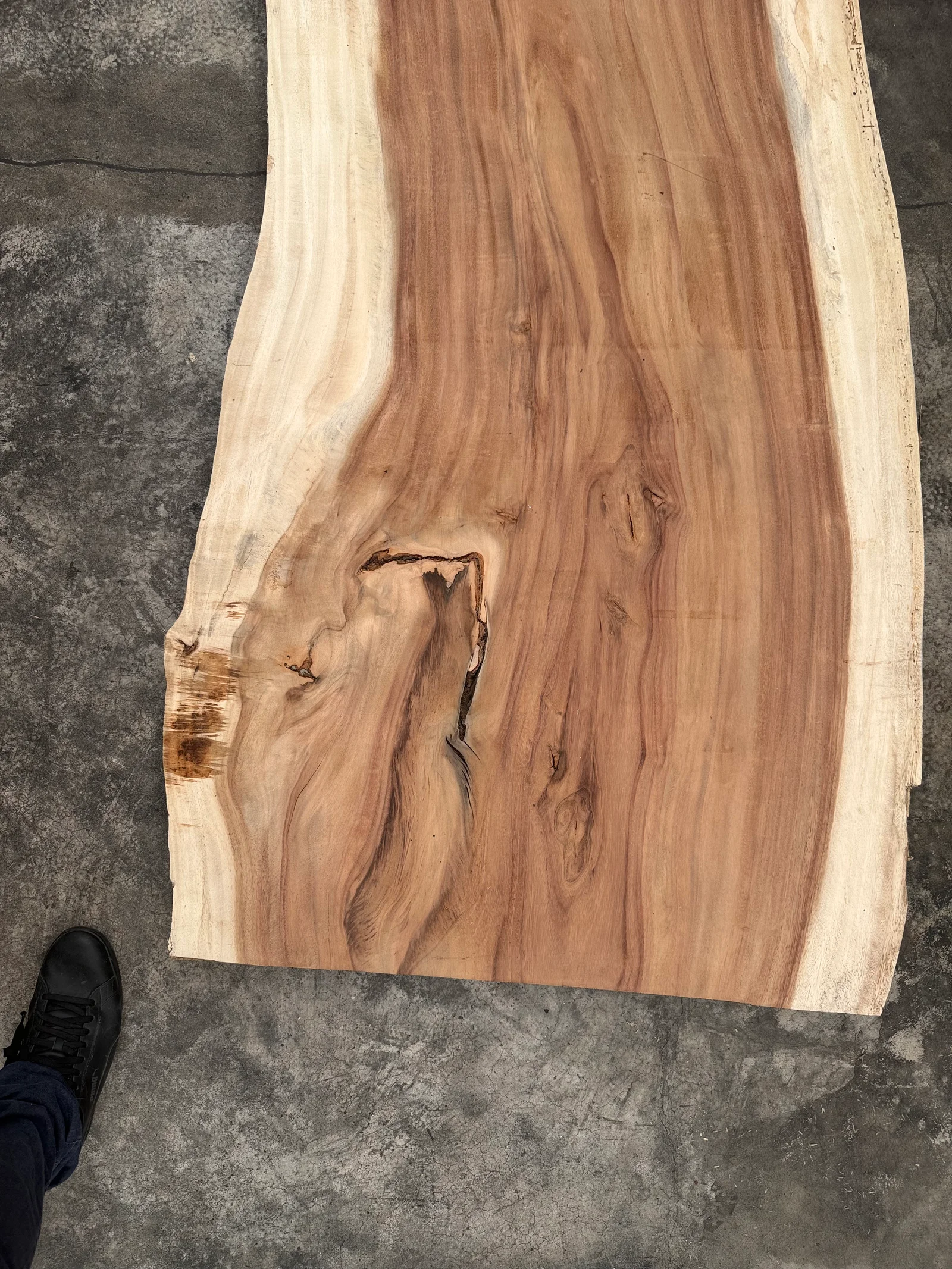 End-grain view of the Saman slab showing the sawn end, 90 mm thickness, and straight grain structure visible in the wood passport photo.