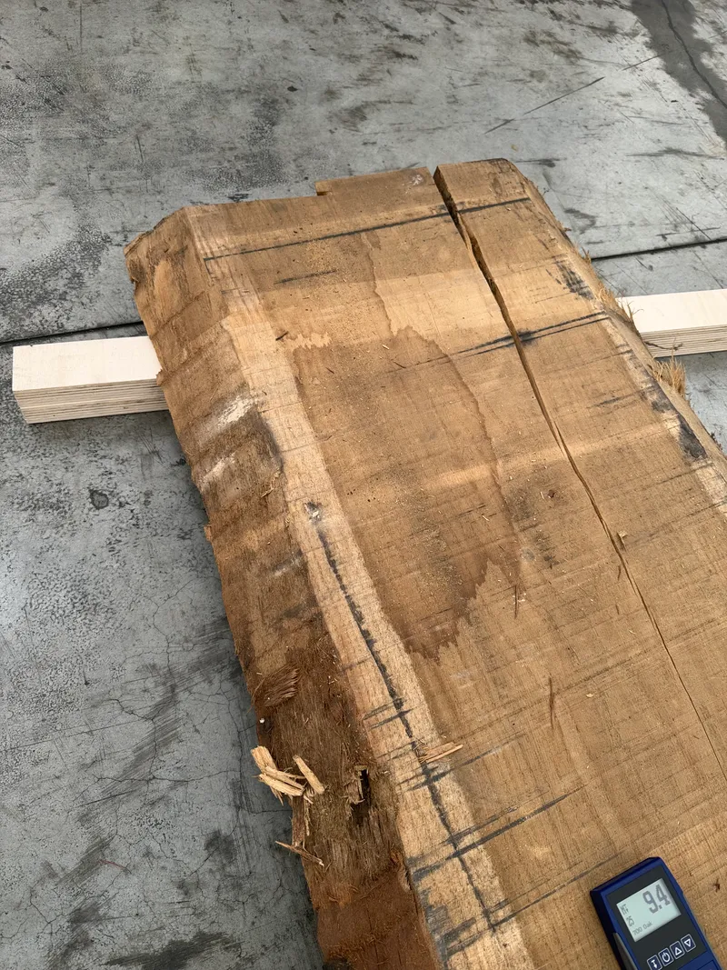 European Oak 3