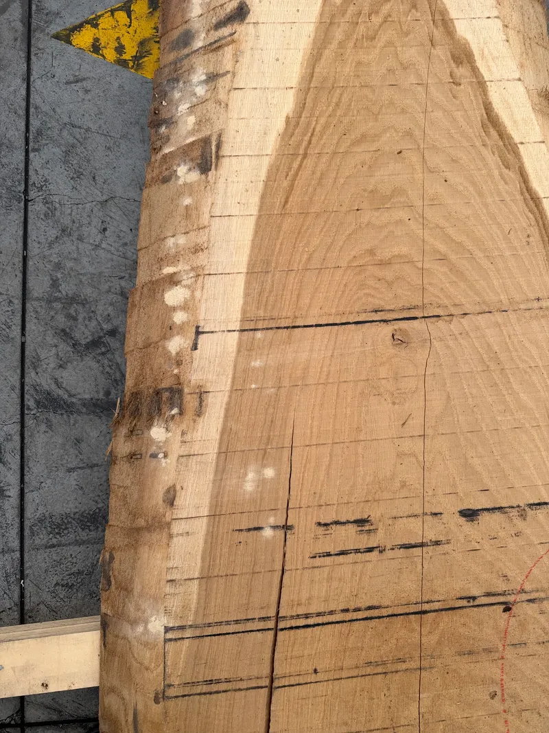 European Oak — End grain