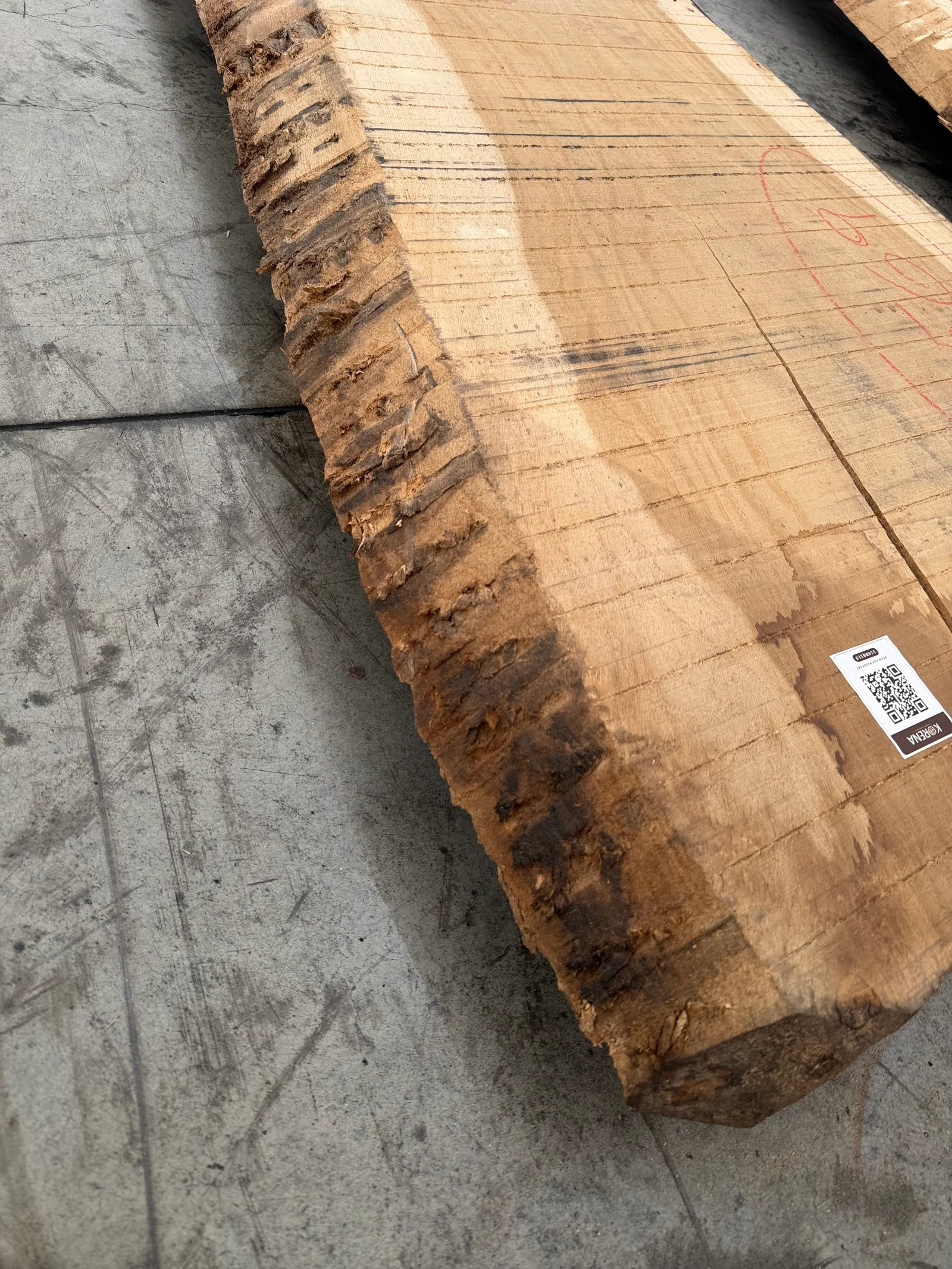 Close view of the live edge on the oak slab showing bark texture, dark natural edge character, and pale sawn face.
