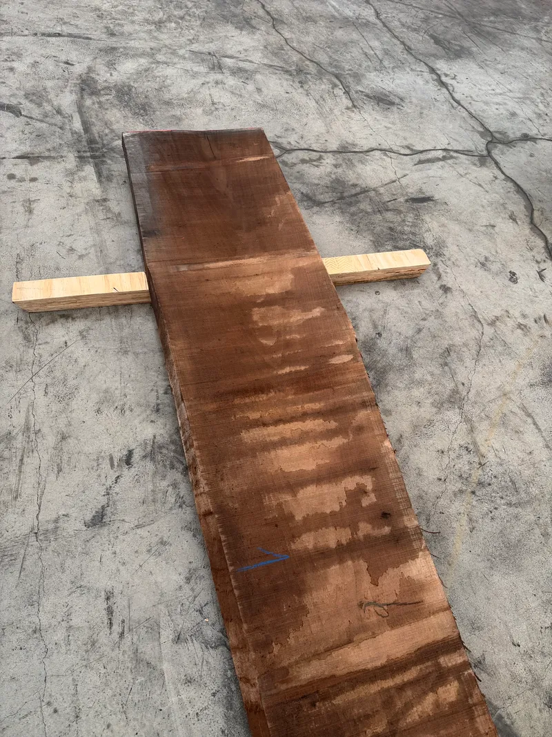 European Walnut 3