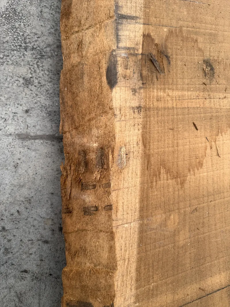 European Oak — Edge