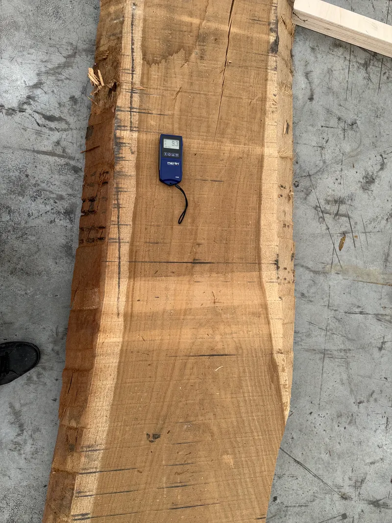 European Oak 5