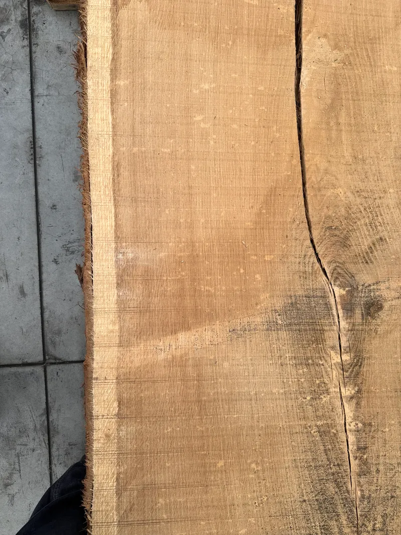 European Oak — End grain