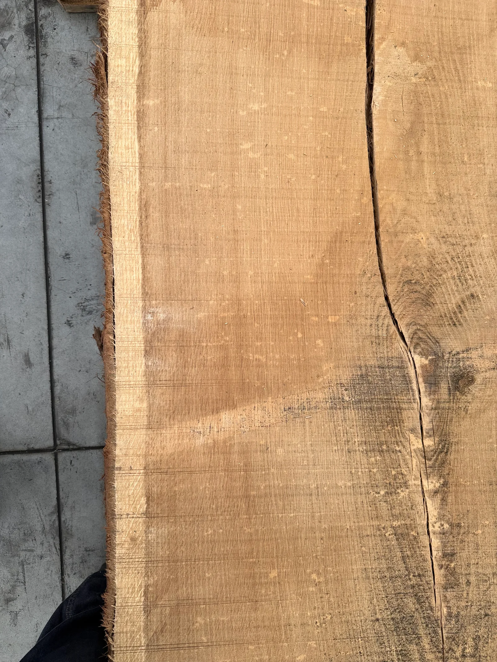 End-grain view of the European oak slab showing thickness, live-edge texture, and darkened natural markings near the edge.