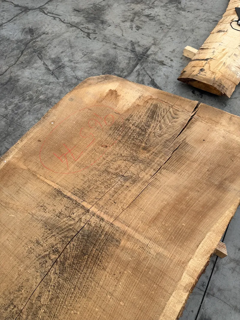 European Oak 4