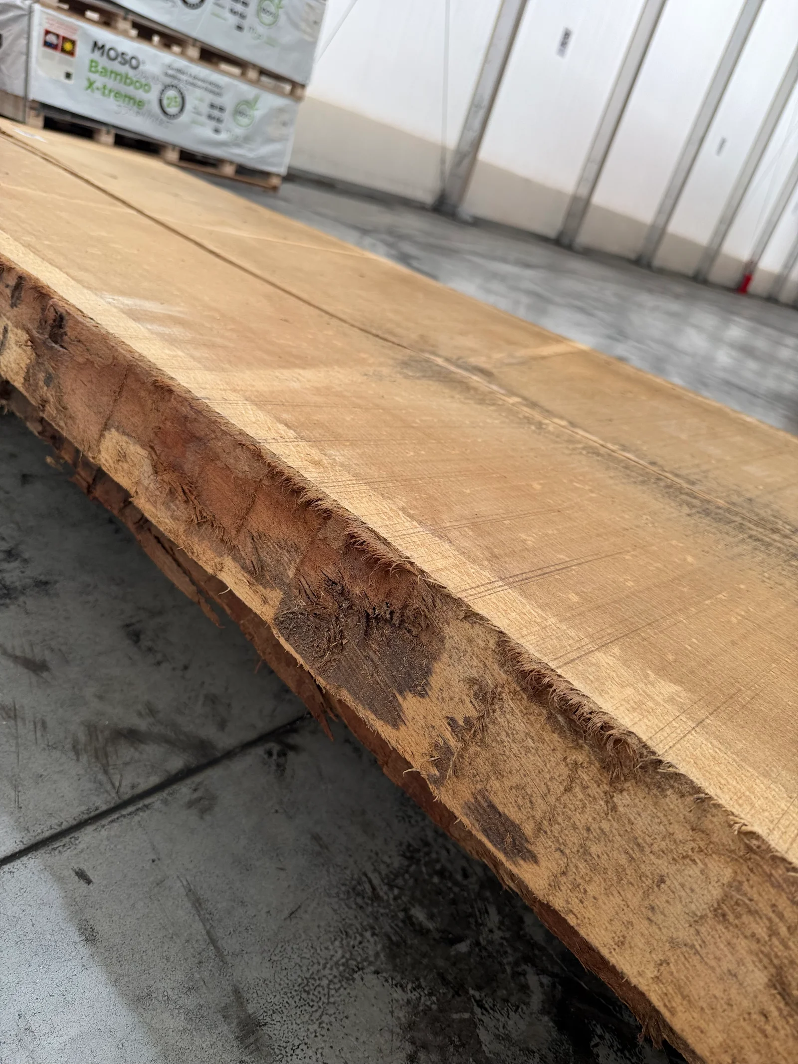 Close side view of the oak slab edge showing rough live-edge texture, bark remnants, and natural sapwood contrast.