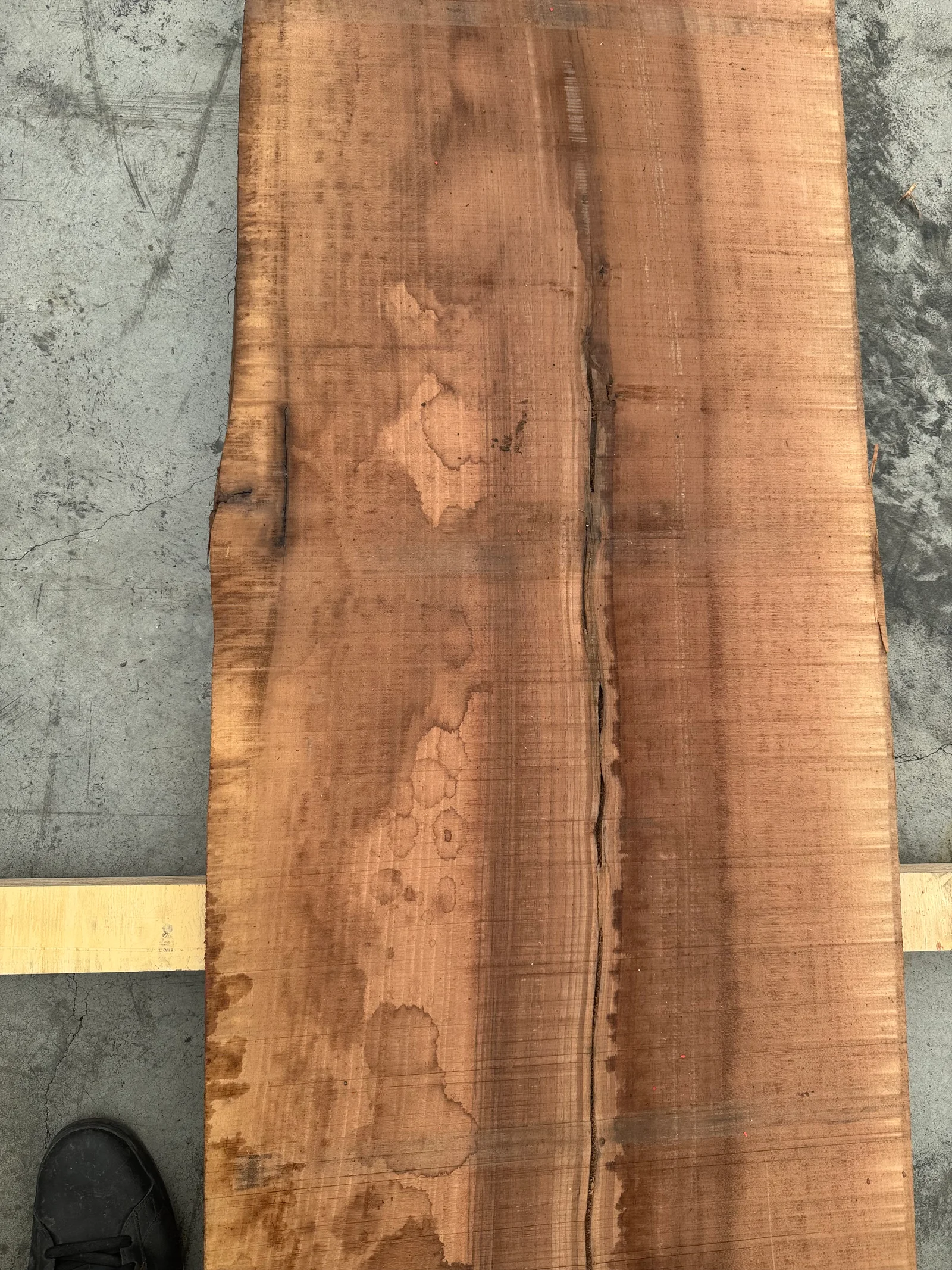 End-grain view of the European walnut slab showing the thickness and freshly prepared end surface.
