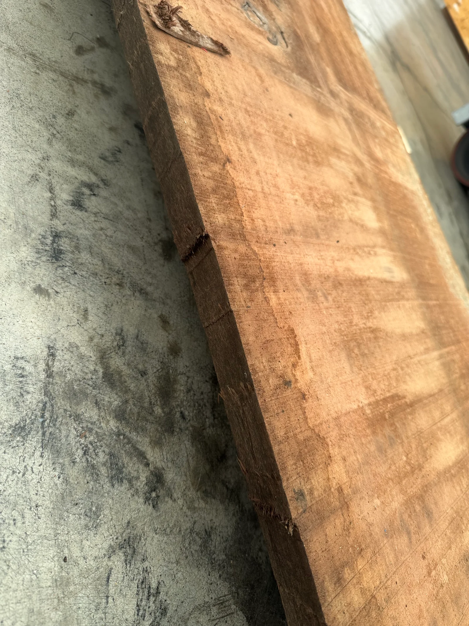 Close edge view of the walnut slab showing the natural live edge, thickness, and rough-sawn surface character.