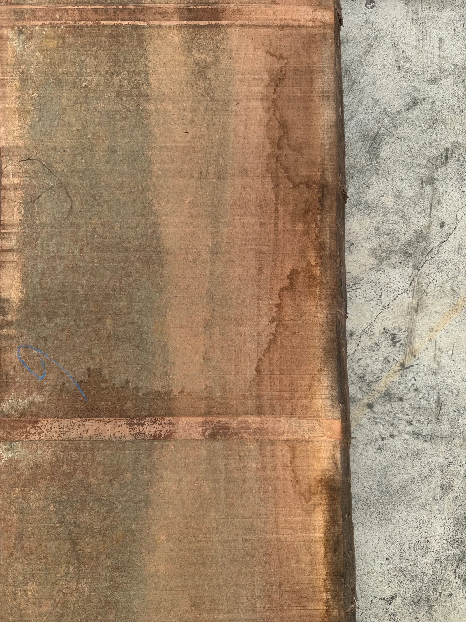 End-grain view of the European walnut slab with visible live-edge profile and kiln-dried stock.