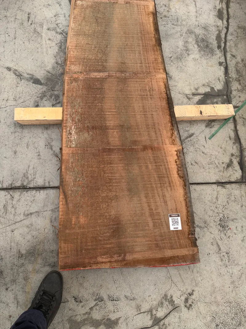 European Walnut 3