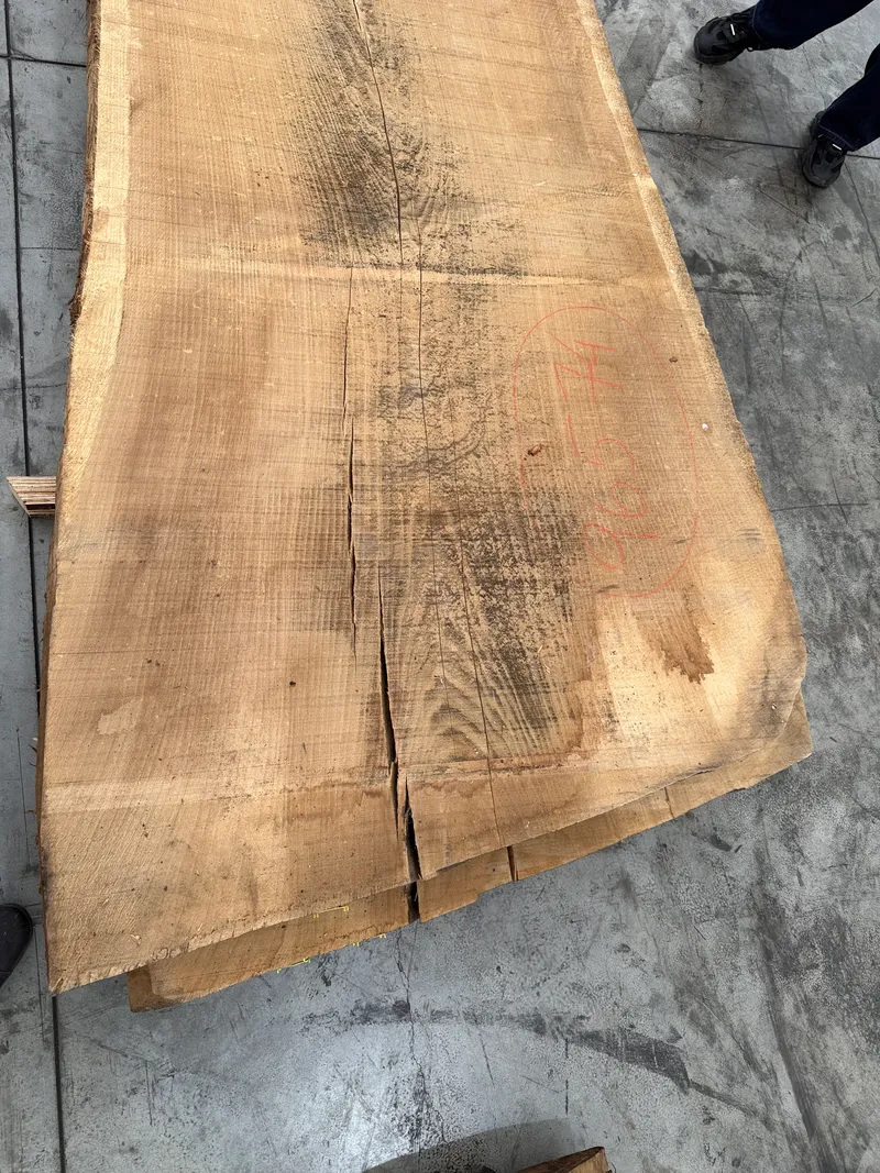 European Oak 5