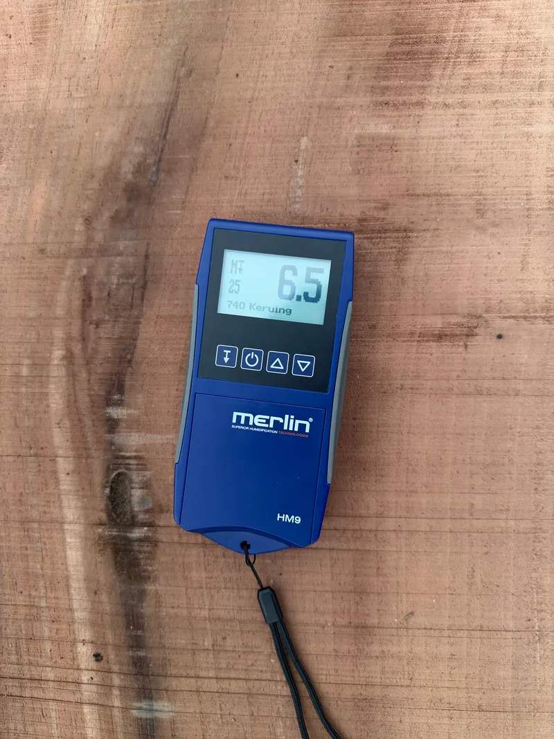 European Walnut — Moisture reading