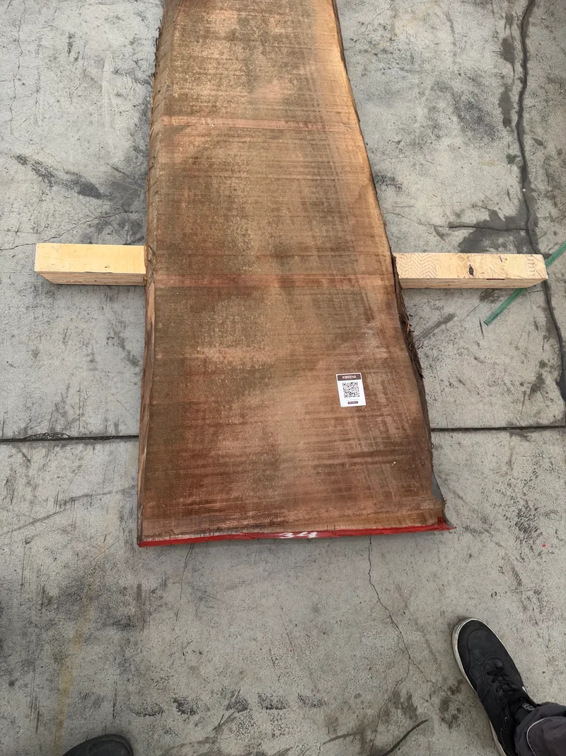 European Walnut 5