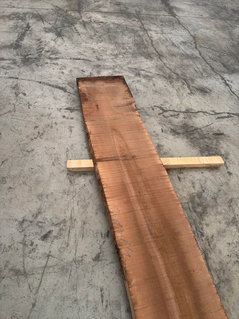 European Walnut 3