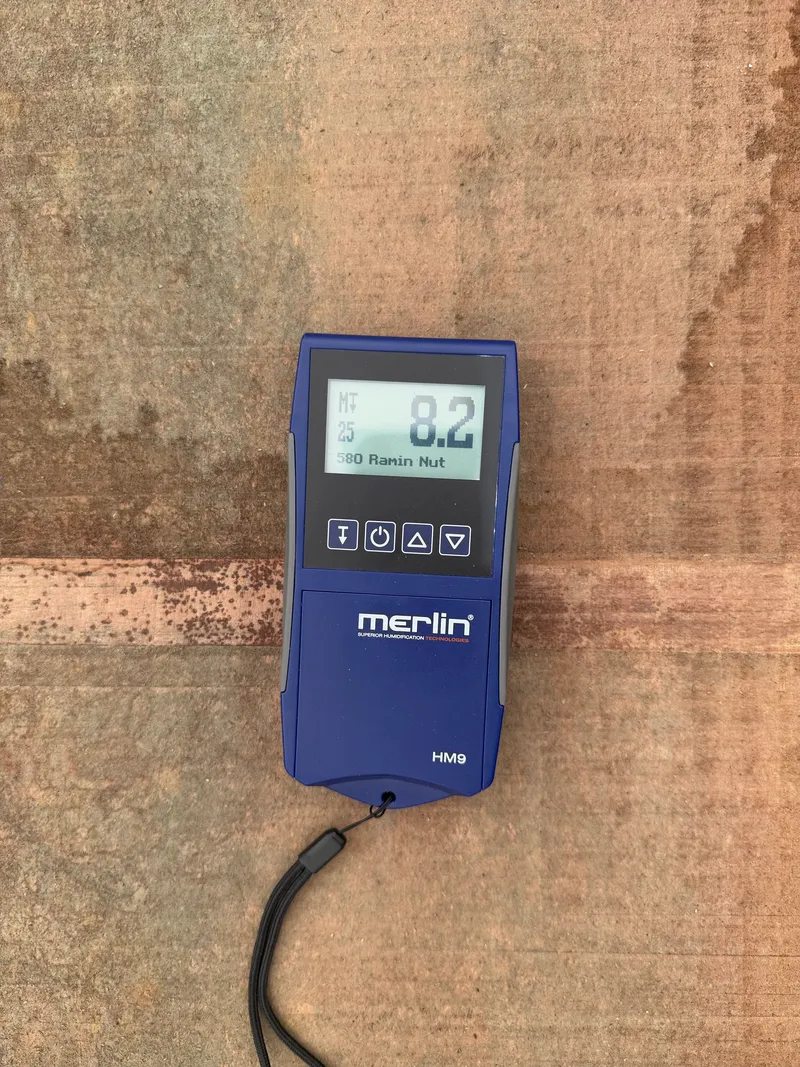 European Walnut — Moisture reading