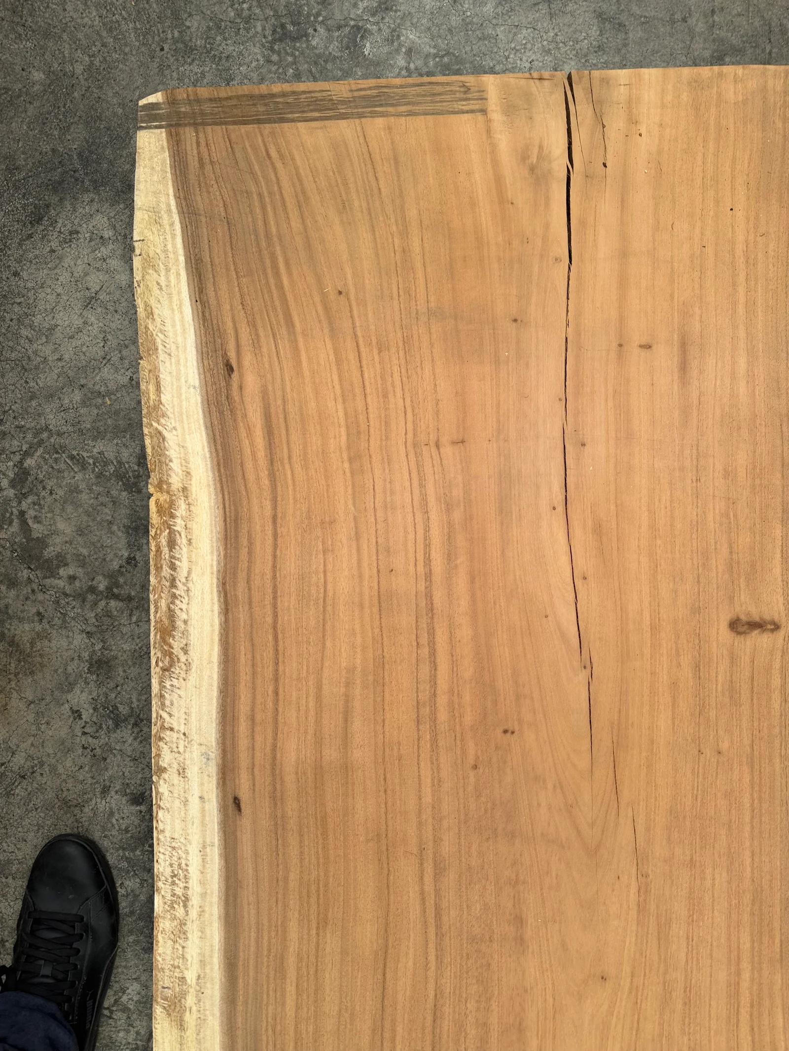End-grain view of the slab highlighting the natural edge transition and the pale sapwood boundary.