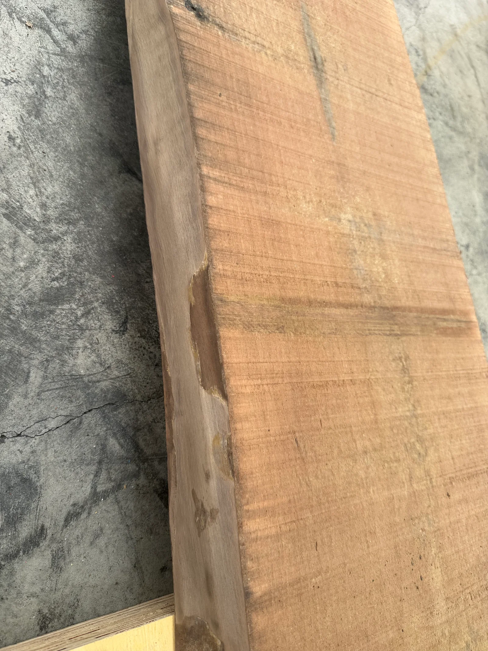 Close view of the slab edge showing natural irregular edge profile and warm walnut surface tone.