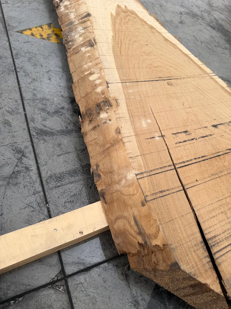European Oak — Edge