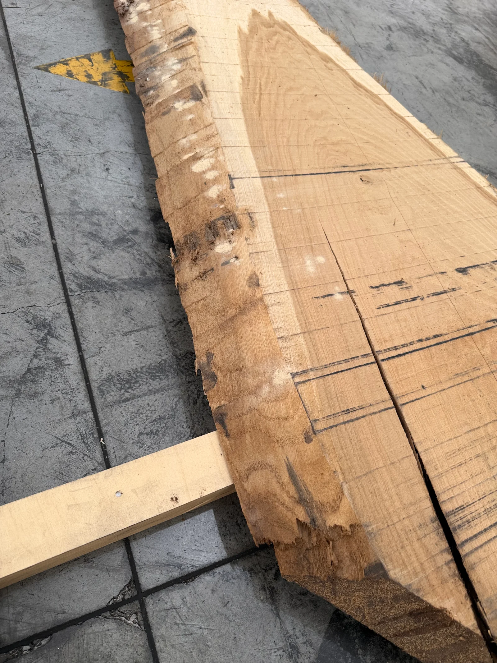Close view of the live edge on the European oak slab, showing bark texture, sapwood, and natural irregularities.