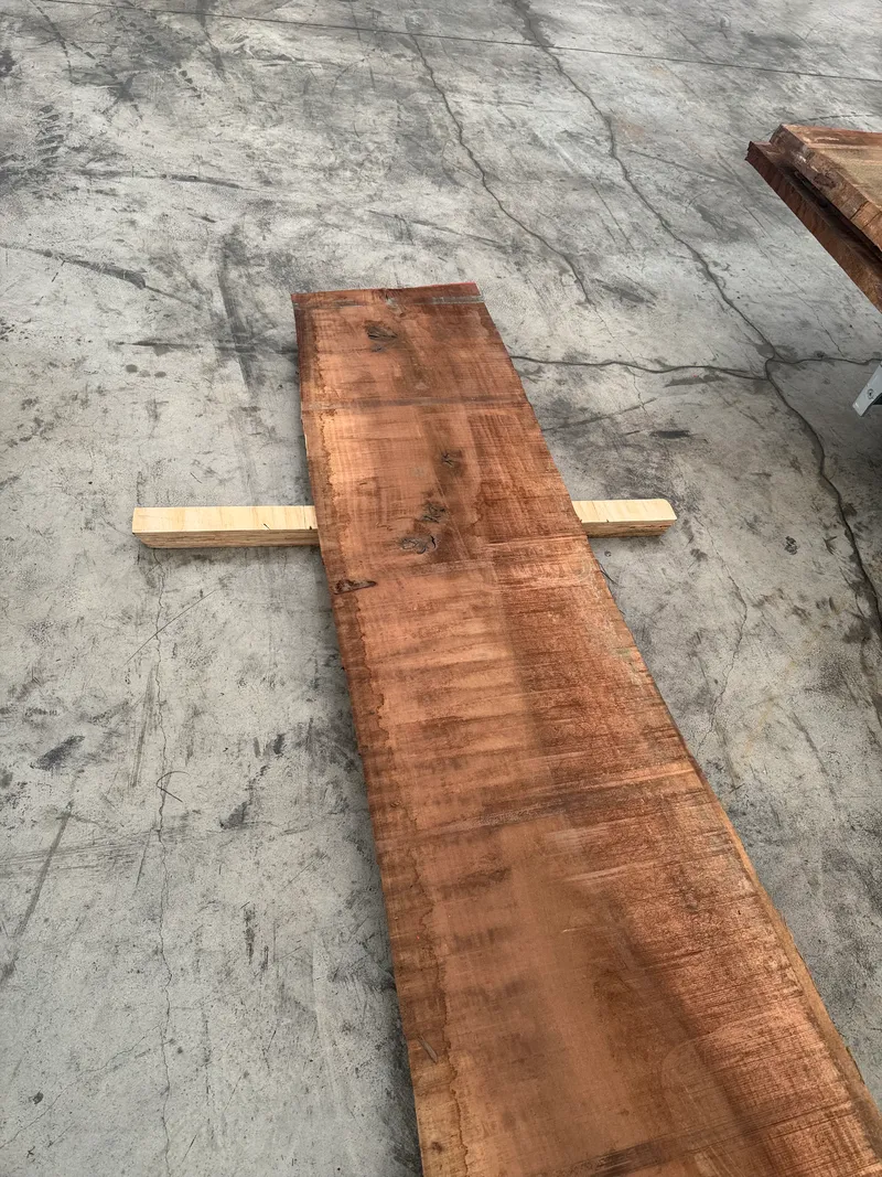 European Walnut 3