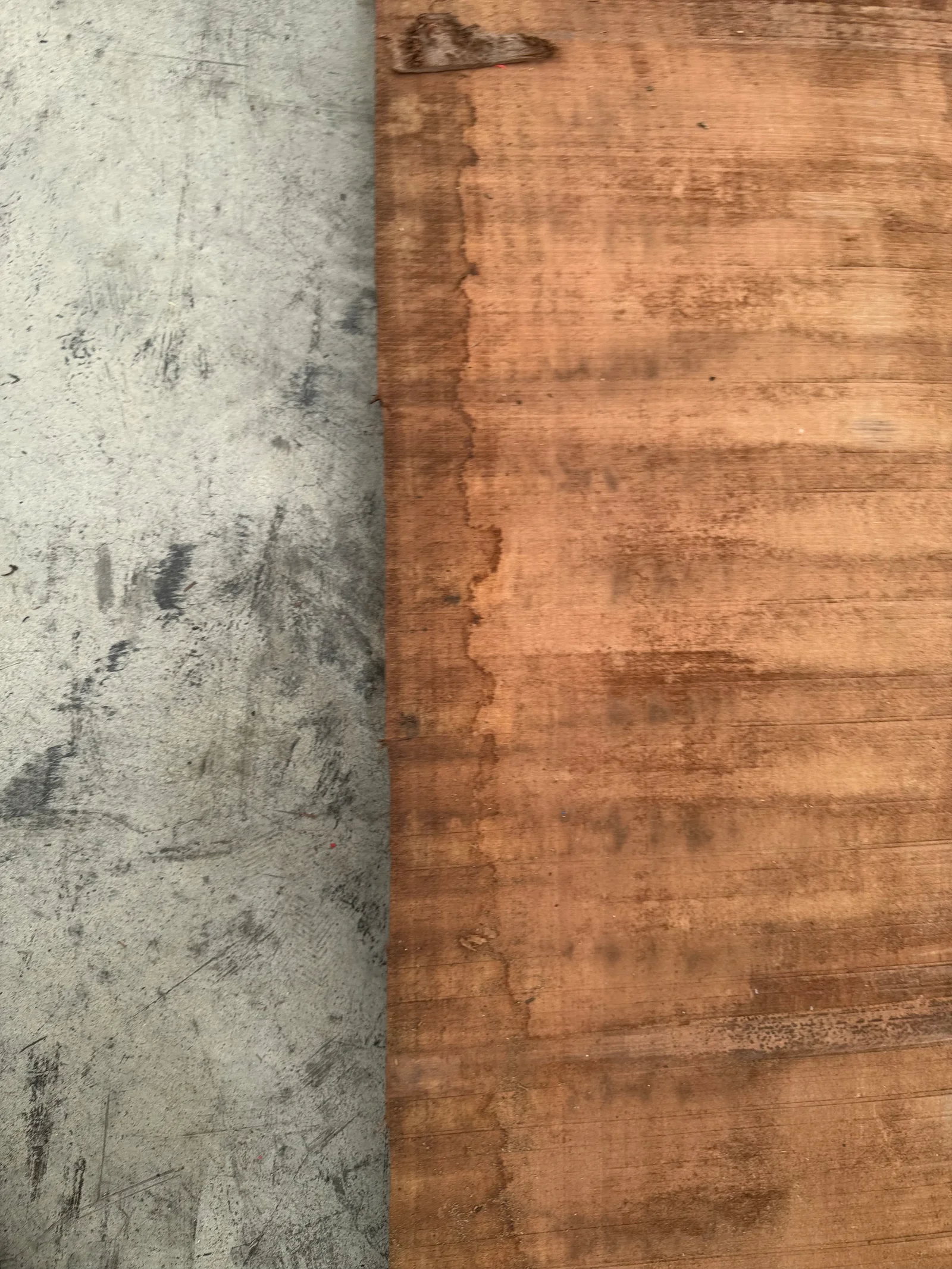 End grain view of the European Walnut slab showing thickness, sawn texture, and darker character at the edge.