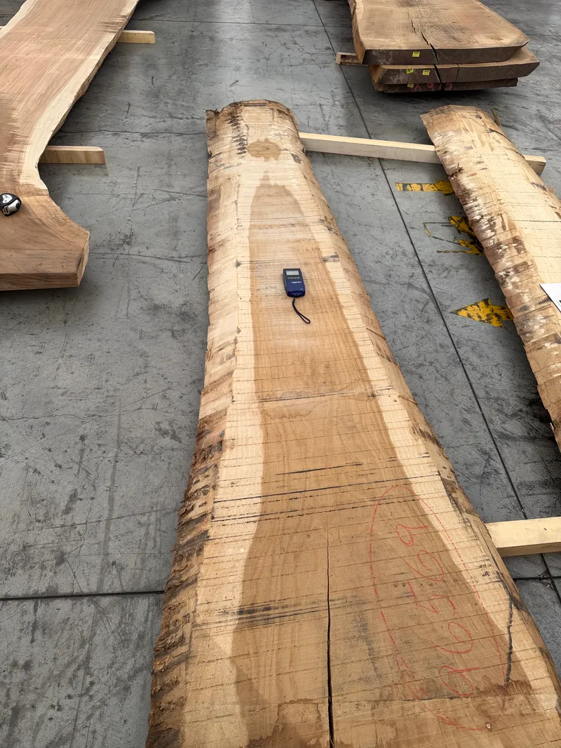 European Oak 5