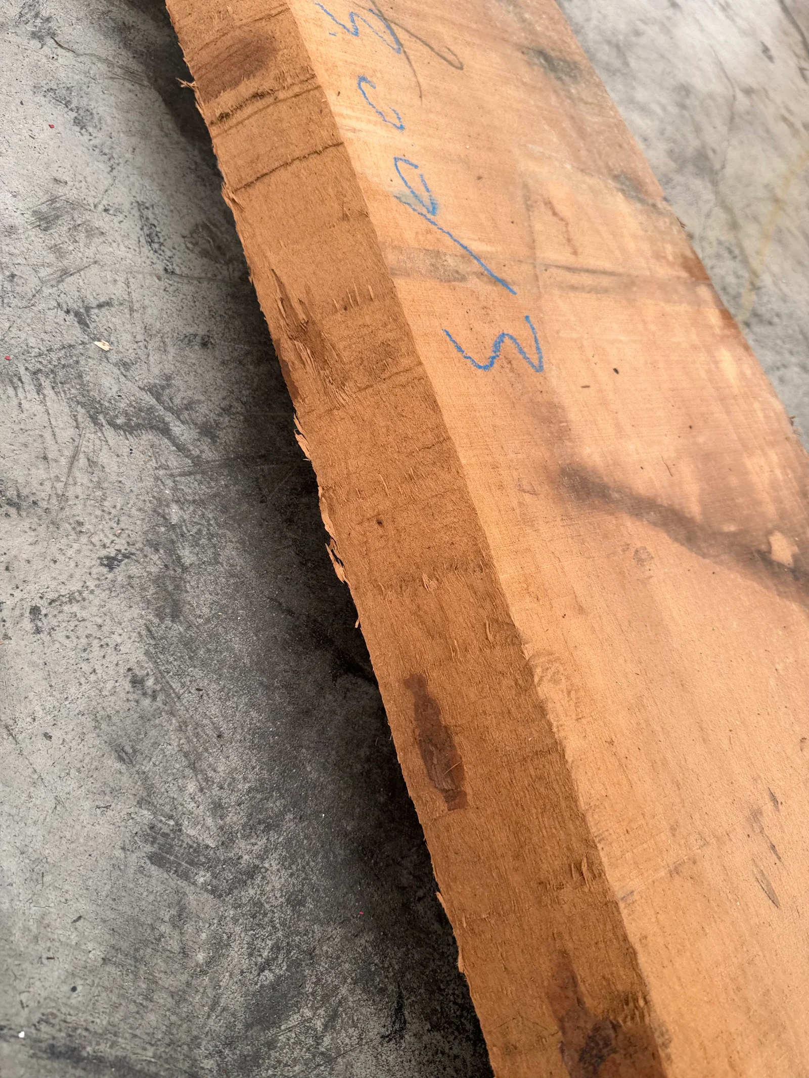 Close edge view showing the slab’s rough natural side and warm walnut surface transitions.