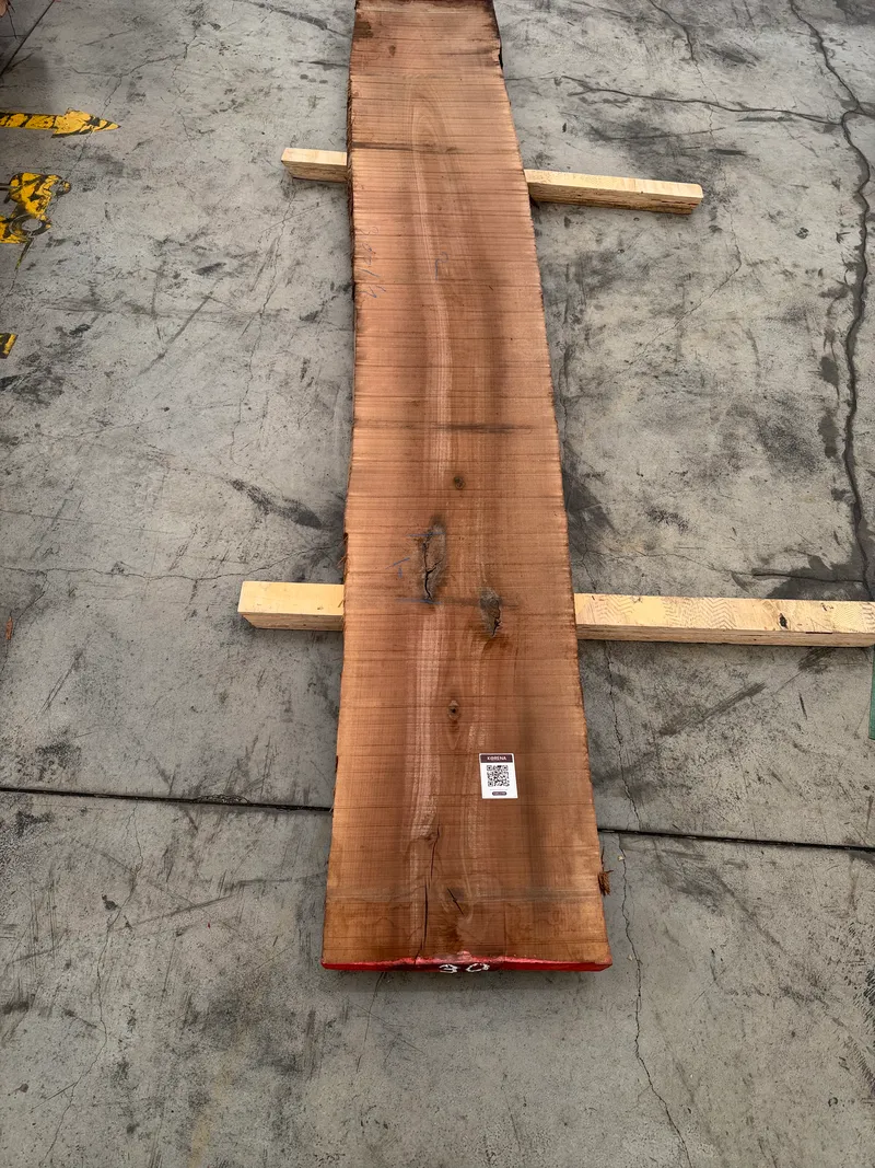 European Walnut 4