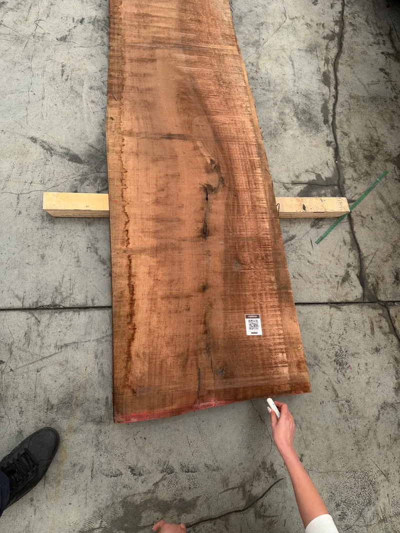 European Walnut 4