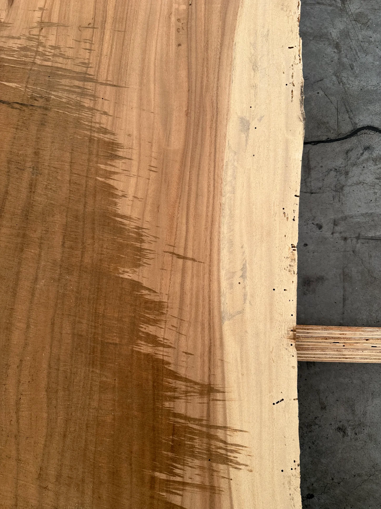 End-grain view of the Saman slab showing thickness, edge texture, and natural live-edge variation.