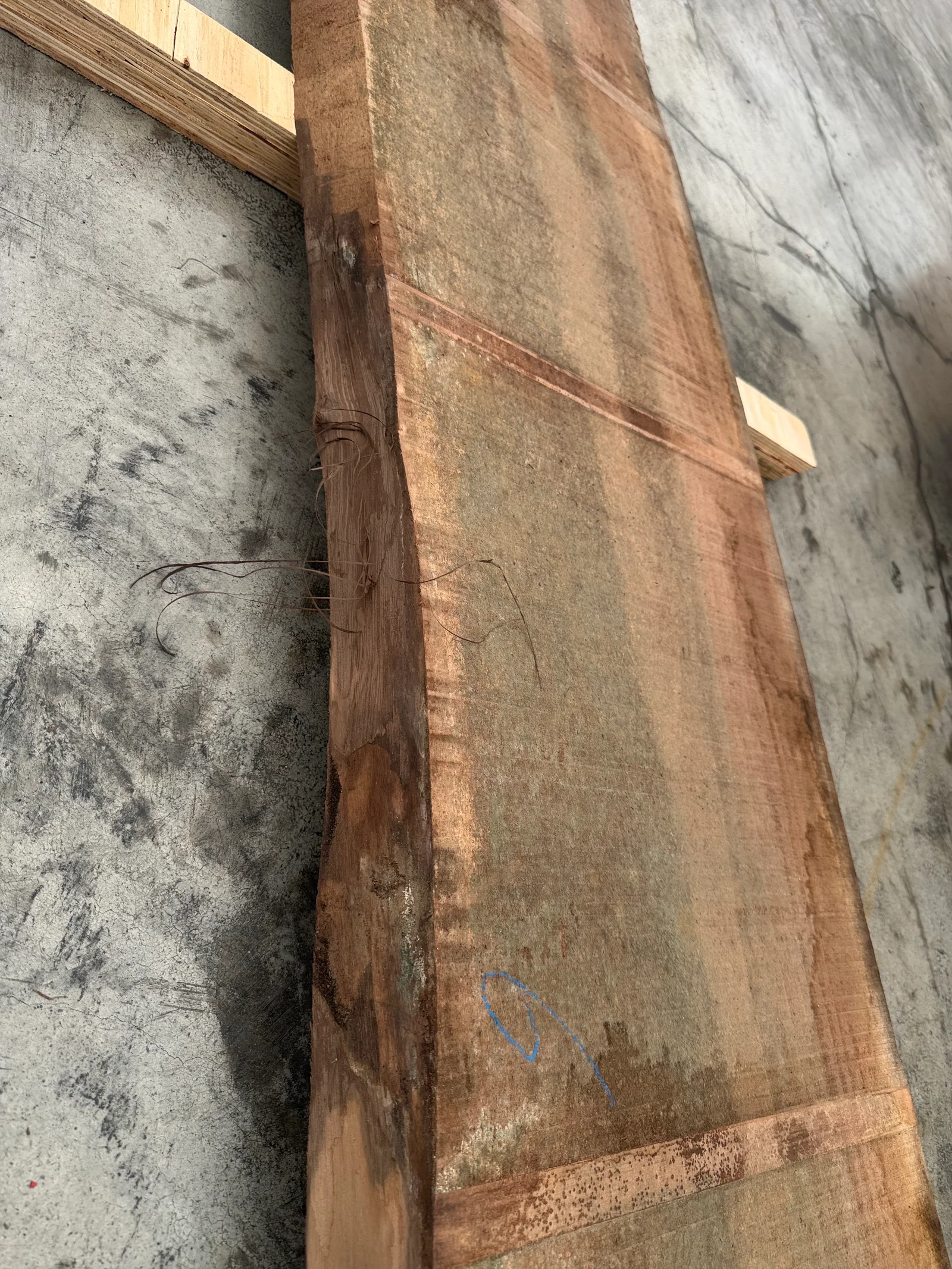 Close view of the walnut slab edge showing natural live-edge texture and warm brown surface variation.