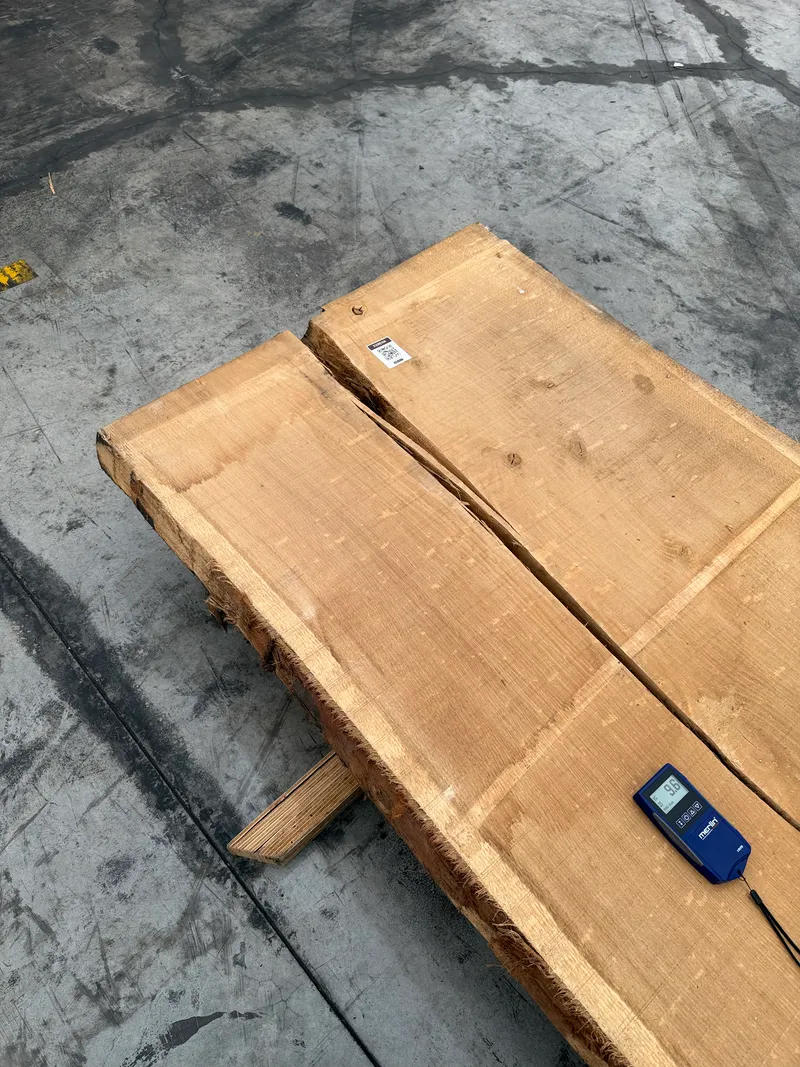 European Oak 3