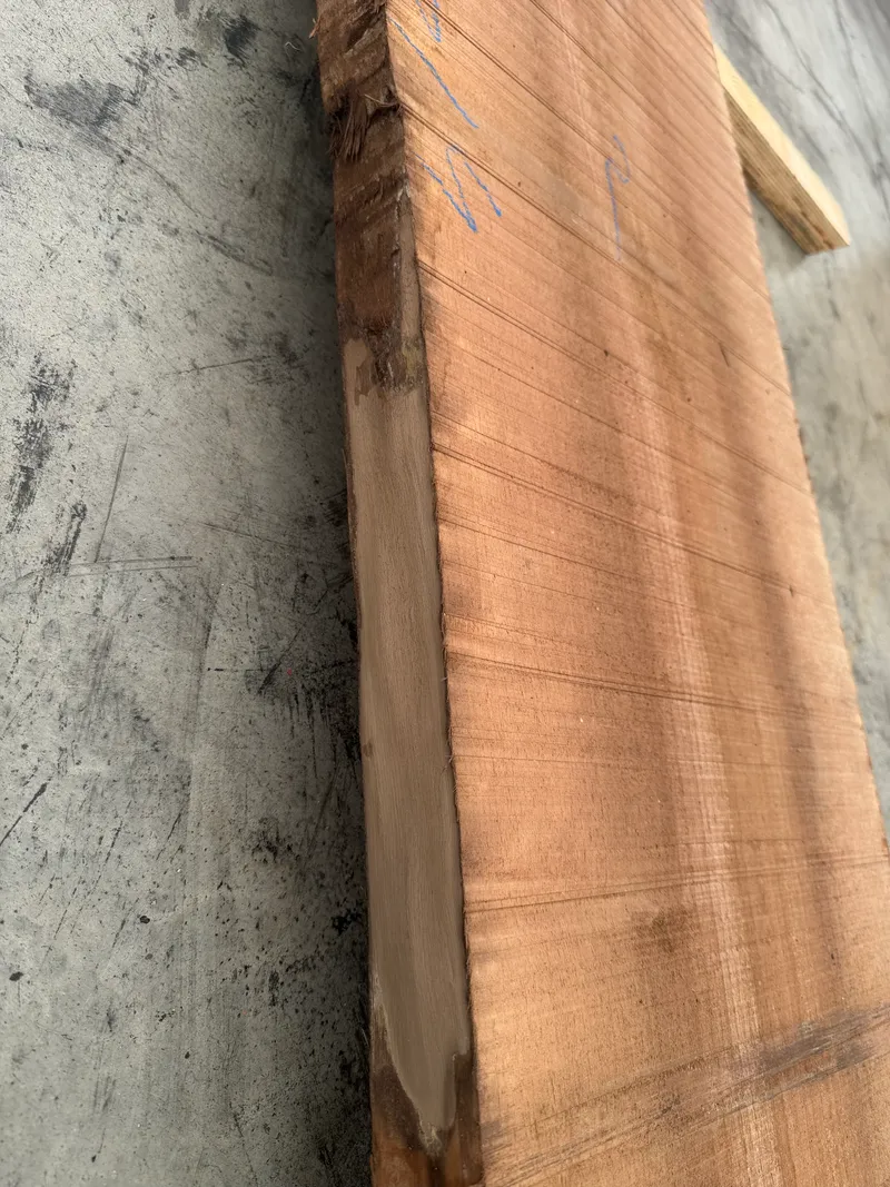 European Walnut — Edge