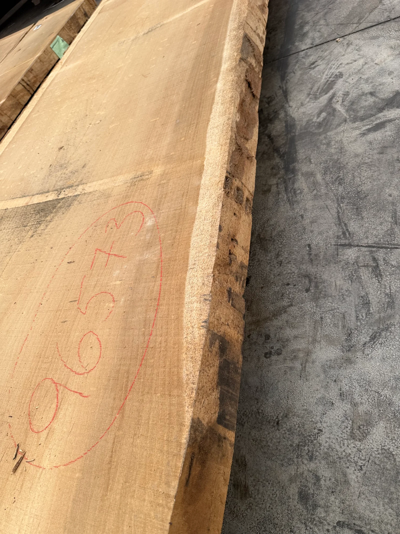 Close view of the slab edge showing rough live-edge character, bark remnants, and surface texture.