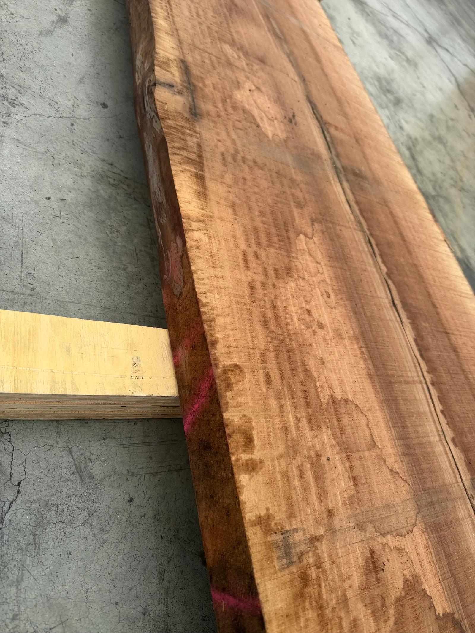 Close view of the slab edge showing natural live-edge character and warm walnut tone.