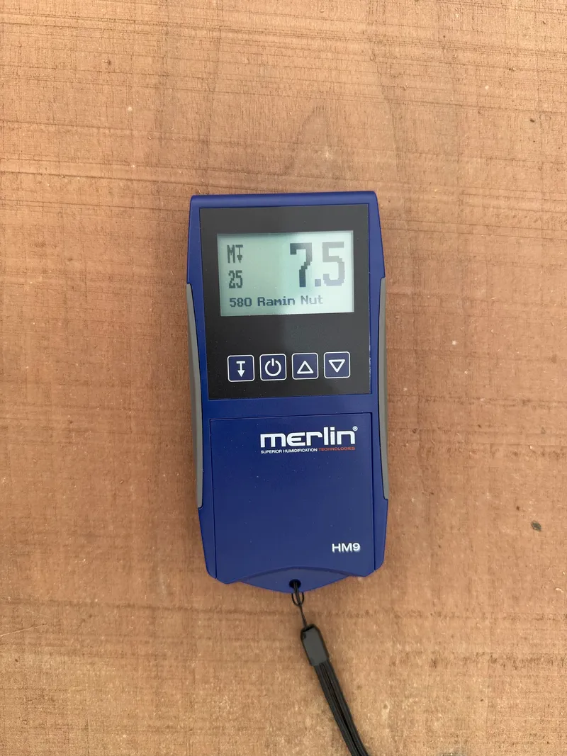 European Walnut — Moisture reading