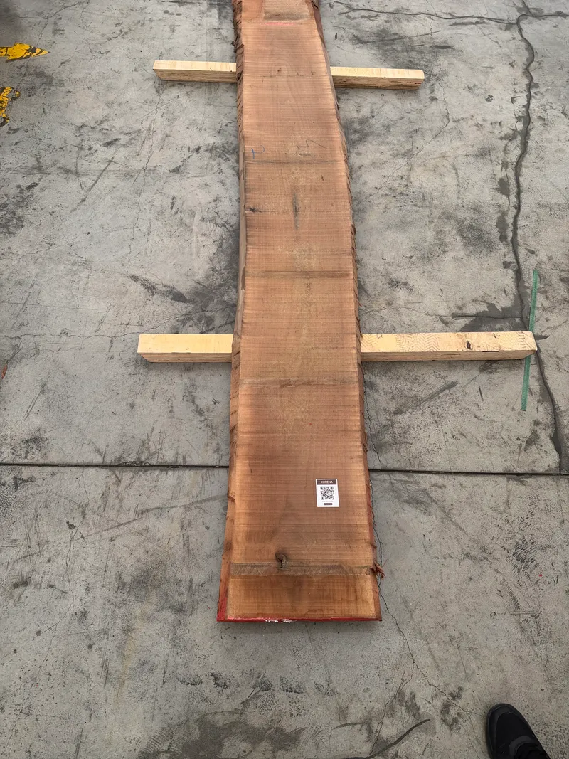 European Walnut 3