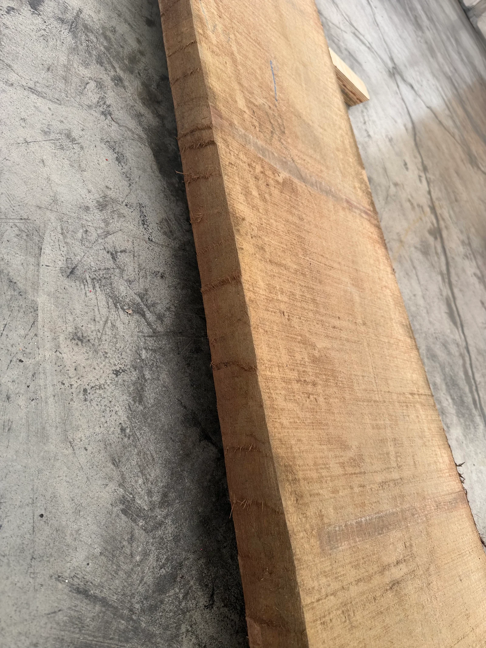 Angled edge view of the walnut slab, showing the live edge profile and the lighter surface beside it.