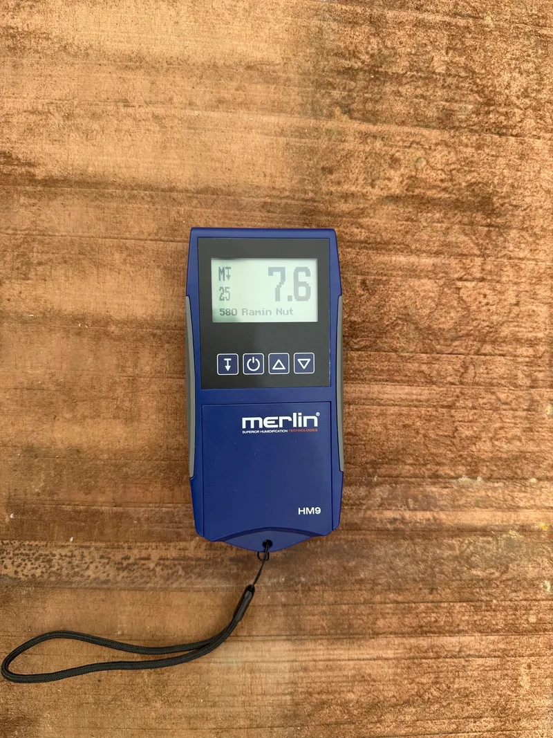 European Walnut — Moisture reading